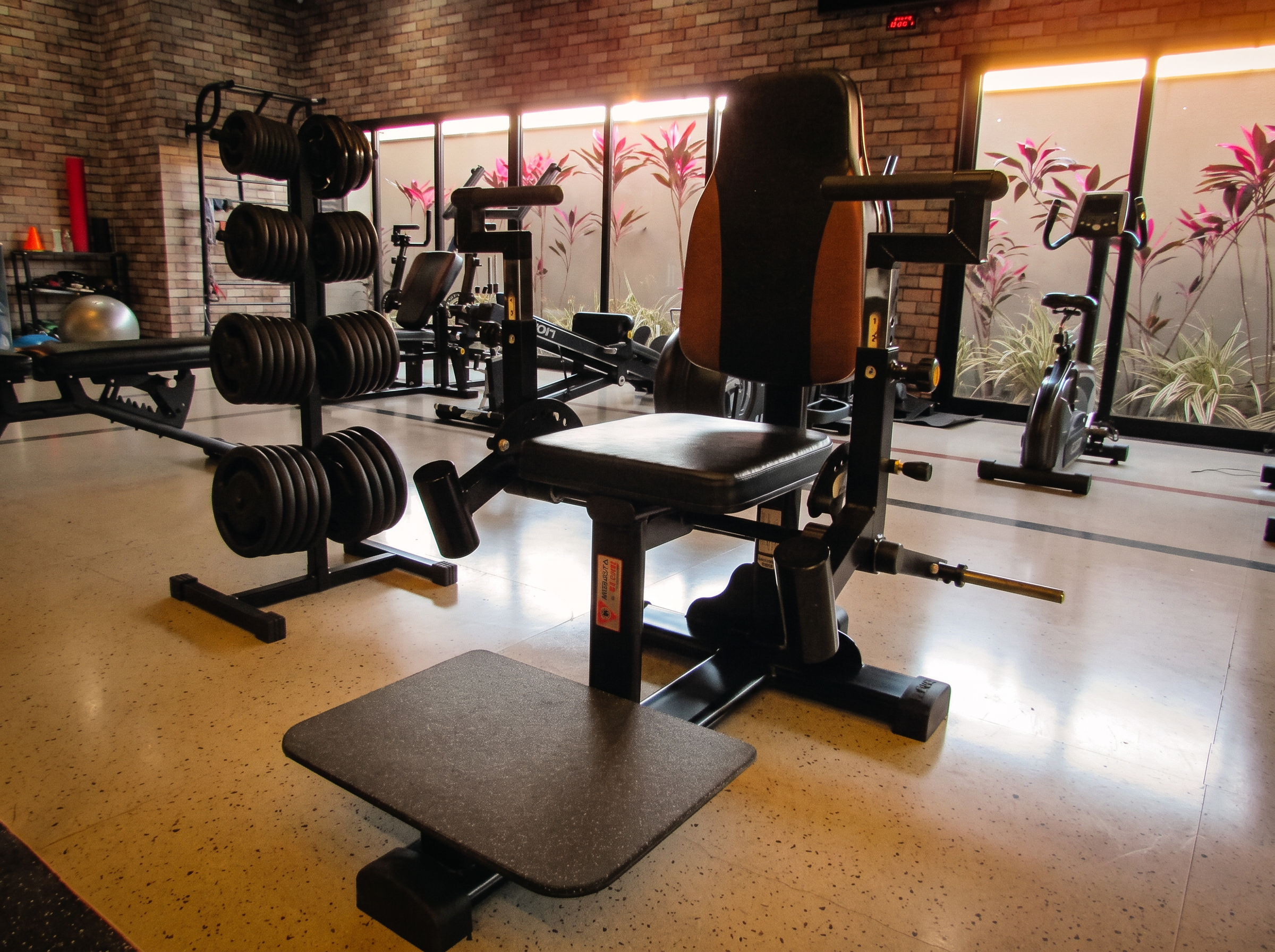 Rack de anilhas e aparelhos de musculação com vista para o jardim do studio